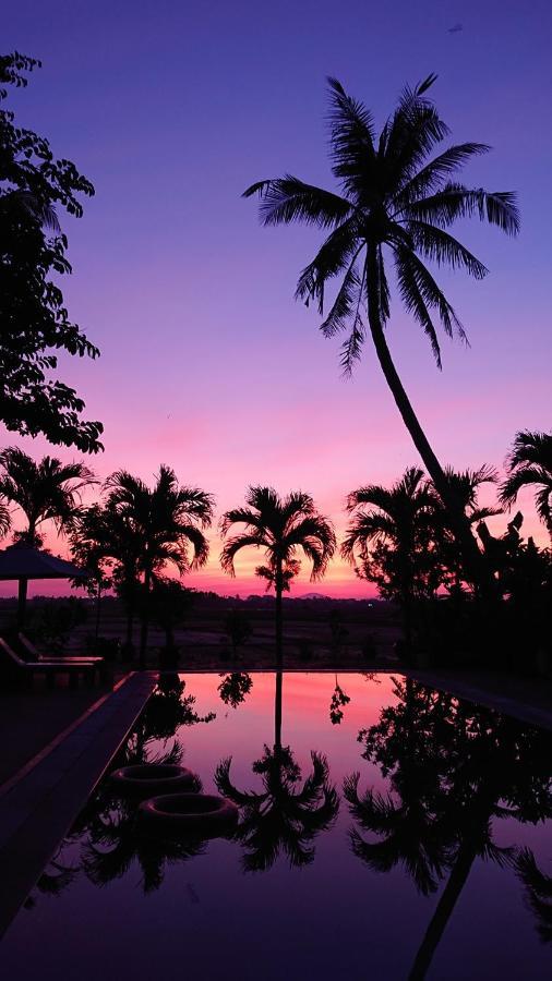 Hoi An Four Seasons Villa Екстериор снимка